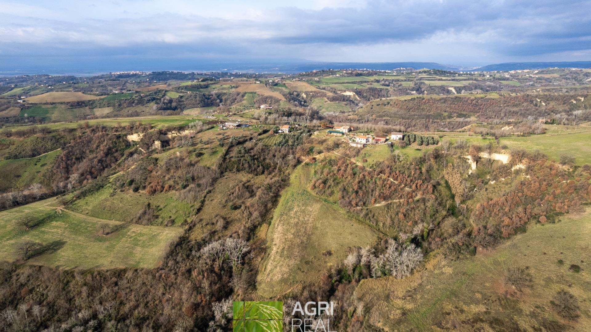 Montebuono